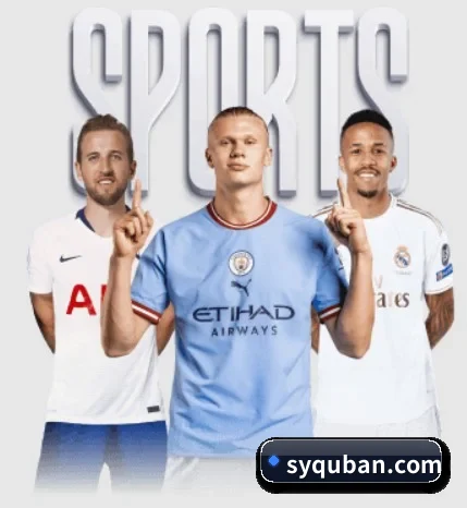 五个功能入口,赛程查询路径更短 | yabo.com